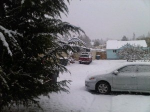 Nov2010_am_snow Morning snowfall, Nov 2010